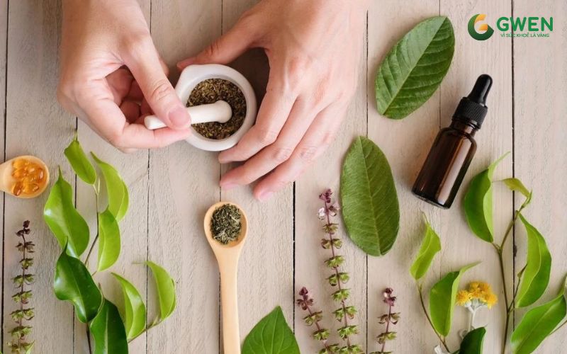 Gwen sống lành chăm sóc sức khỏe từ gốc